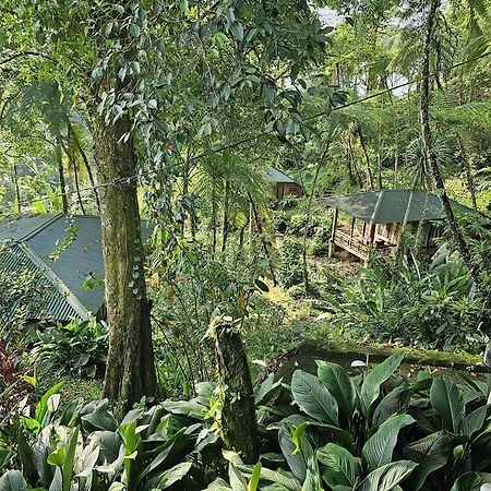 Rimba Eco Resort Tomohon Exteriér fotografie