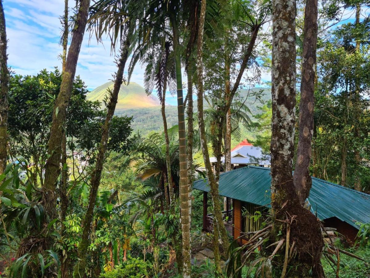 Rimba Eco Resort Tomohon Exteriér fotografie