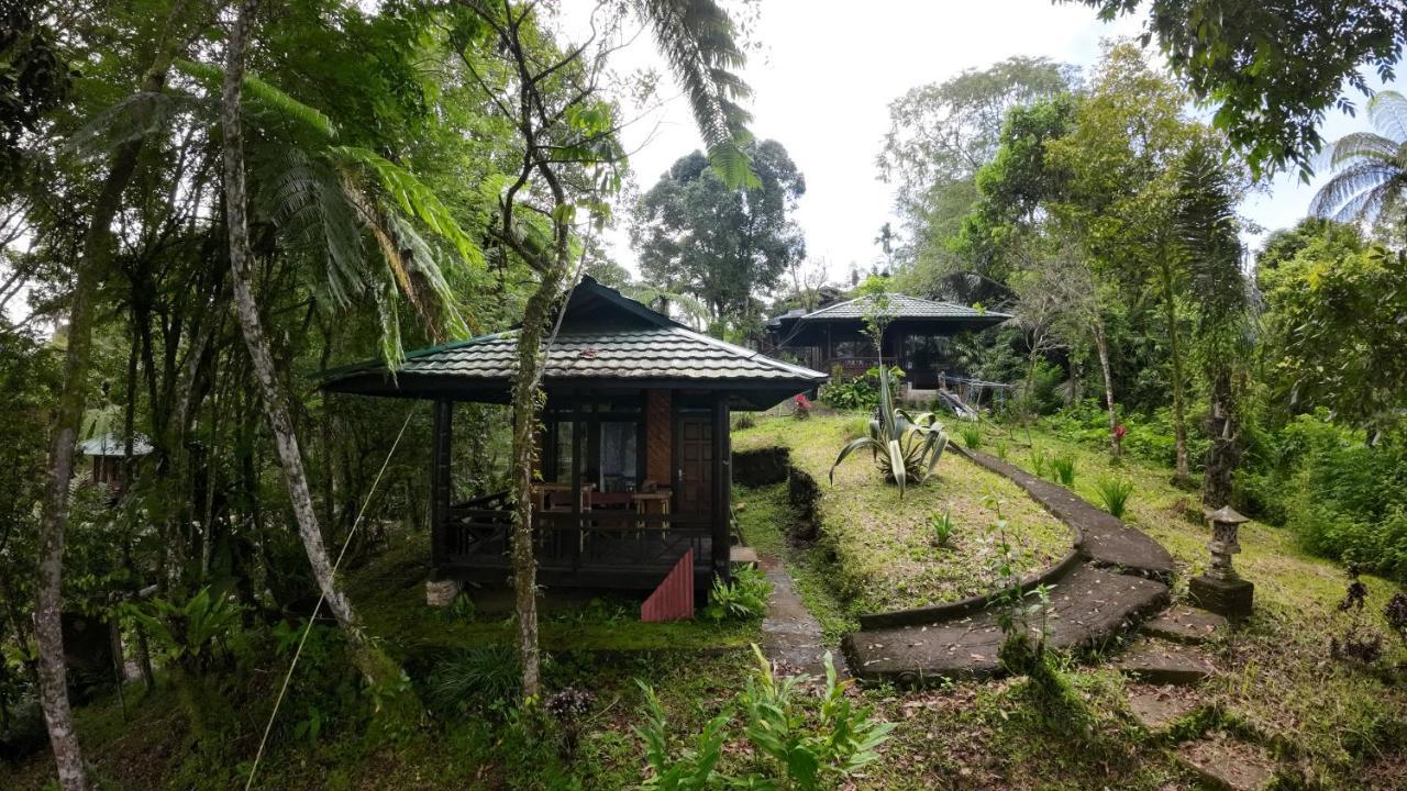 Rimba Eco Resort Tomohon Exteriér fotografie