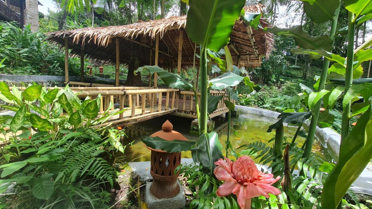 Rimba Eco Resort Tomohon Exteriér fotografie