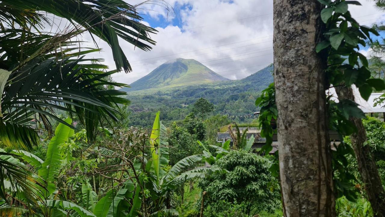 Rimba Eco Resort Tomohon Exteriér fotografie