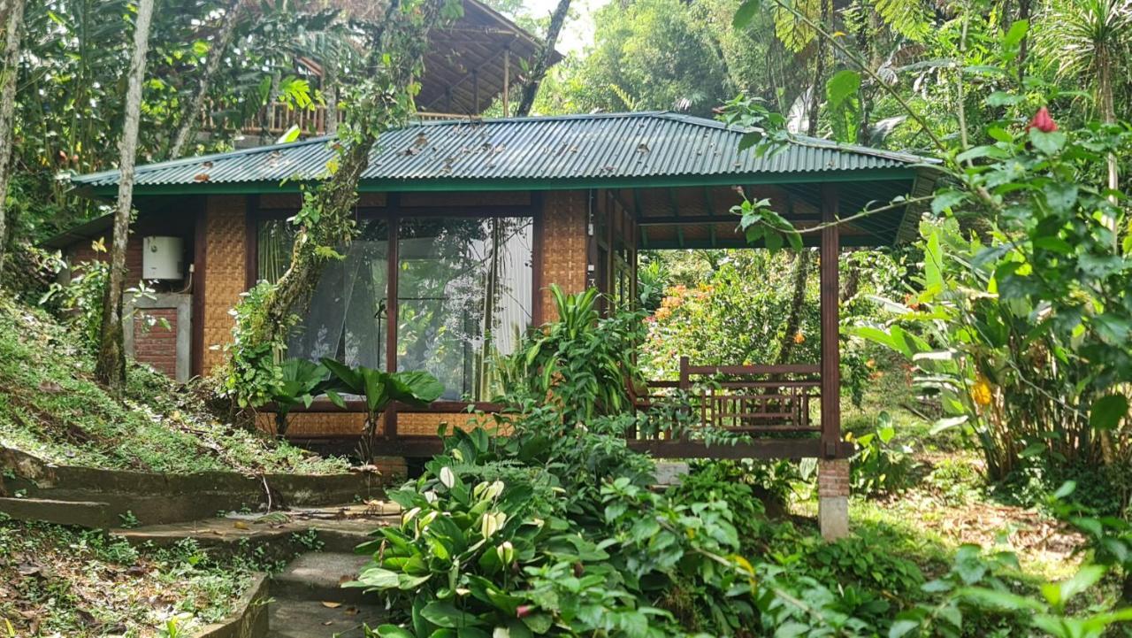 Rimba Eco Resort Tomohon Exteriér fotografie