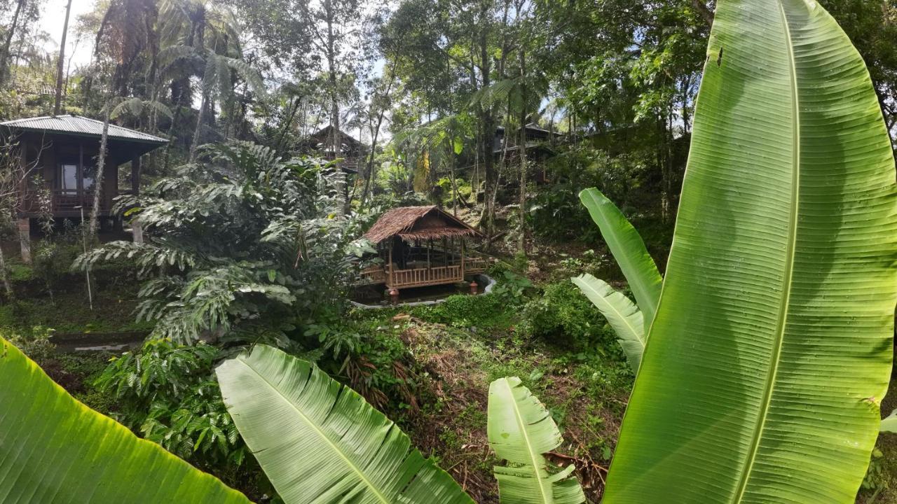 Rimba Eco Resort Tomohon Exteriér fotografie