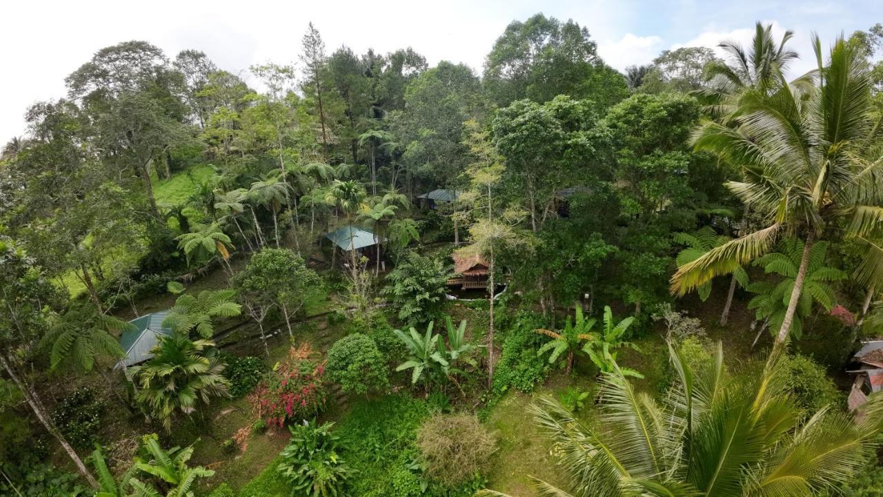 Rimba Eco Resort Tomohon Exteriér fotografie
