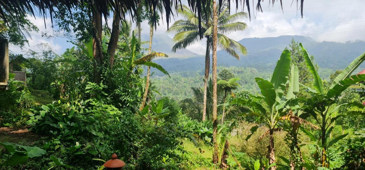 Rimba Eco Resort Tomohon Exteriér fotografie