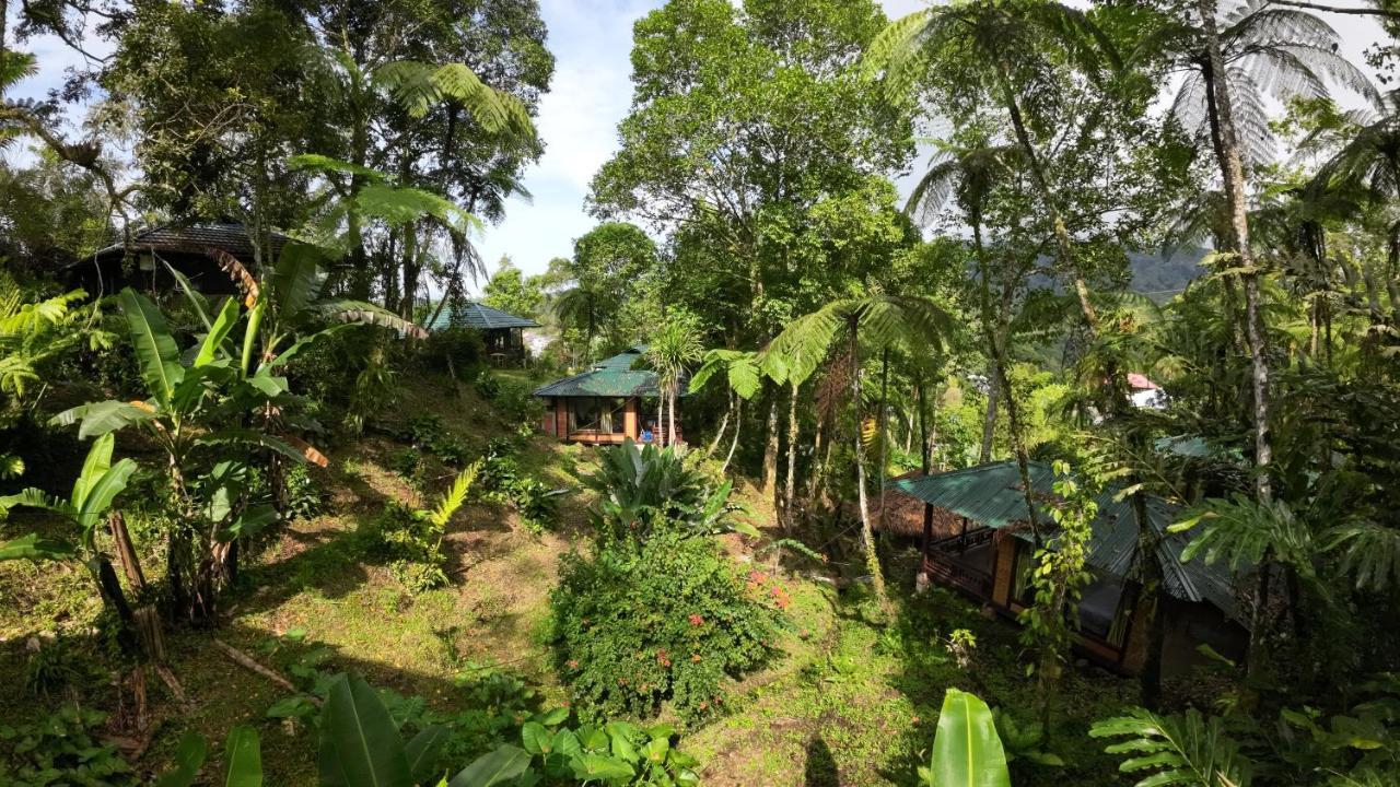 Rimba Eco Resort Tomohon Exteriér fotografie
