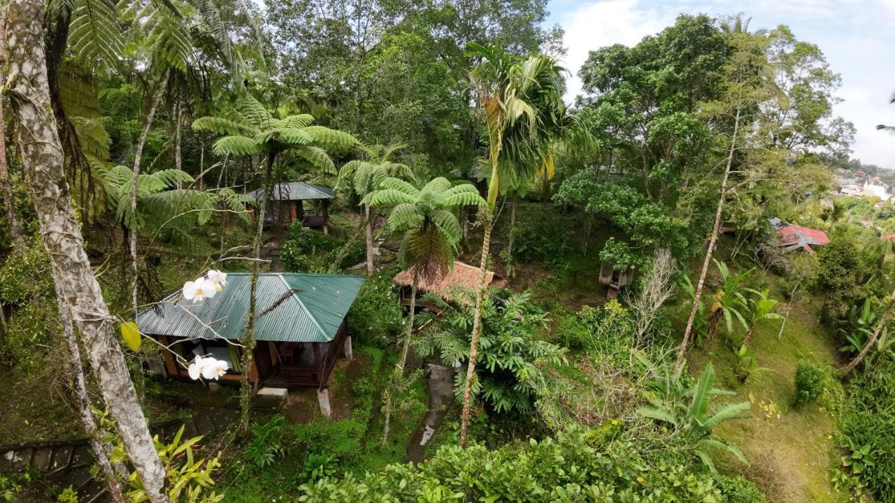 Rimba Eco Resort Tomohon Exteriér fotografie