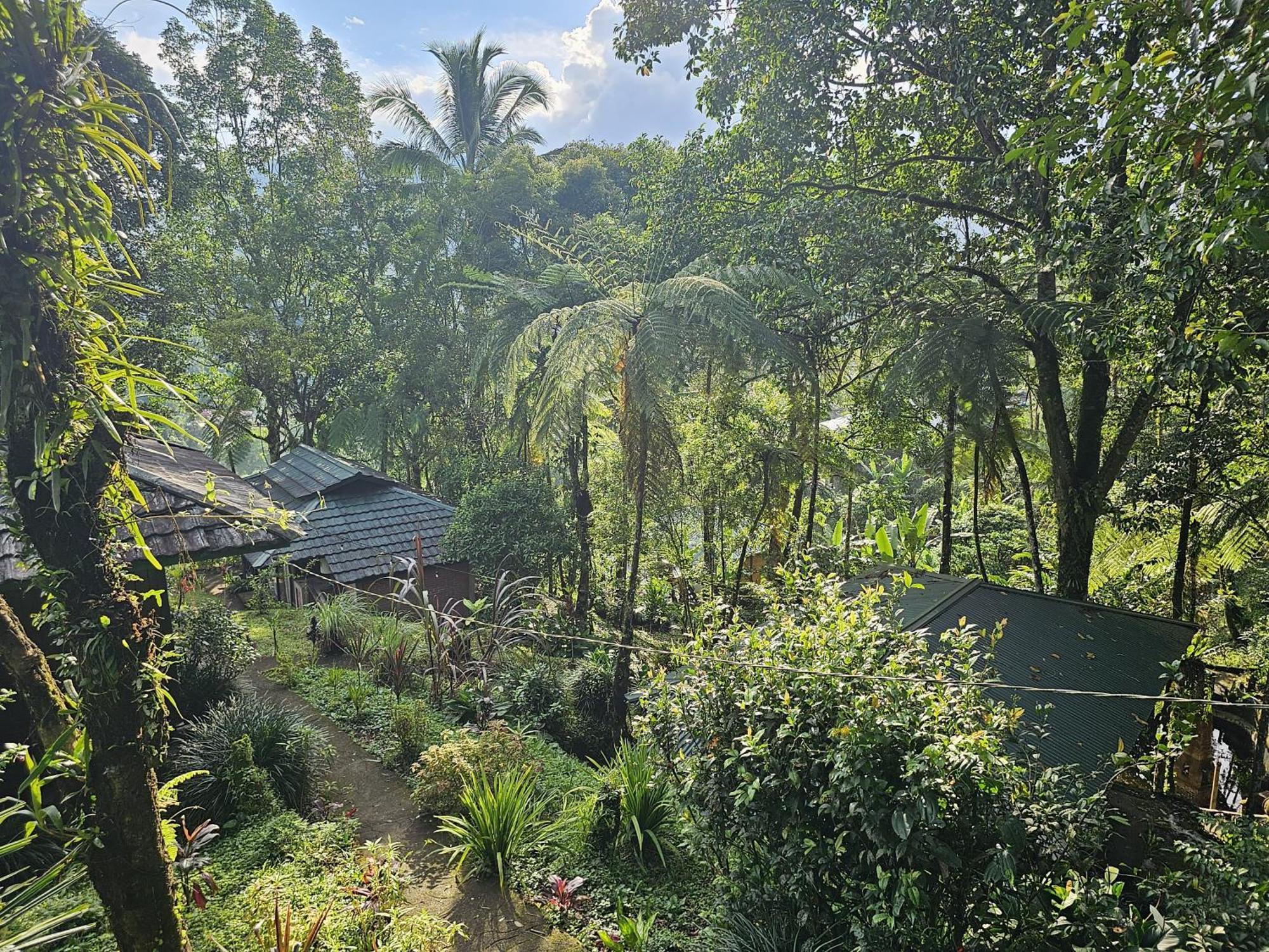Rimba Eco Resort Tomohon Exteriér fotografie