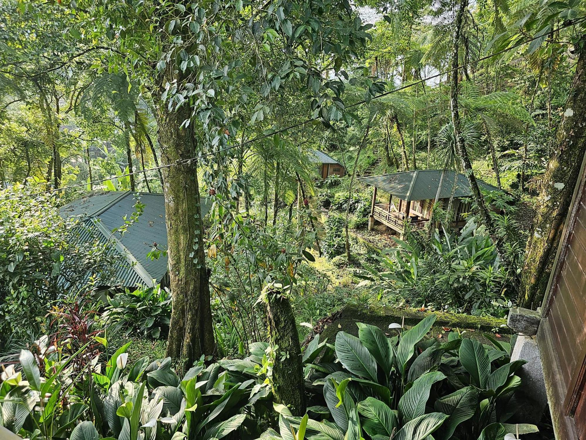 Rimba Eco Resort Tomohon Exteriér fotografie